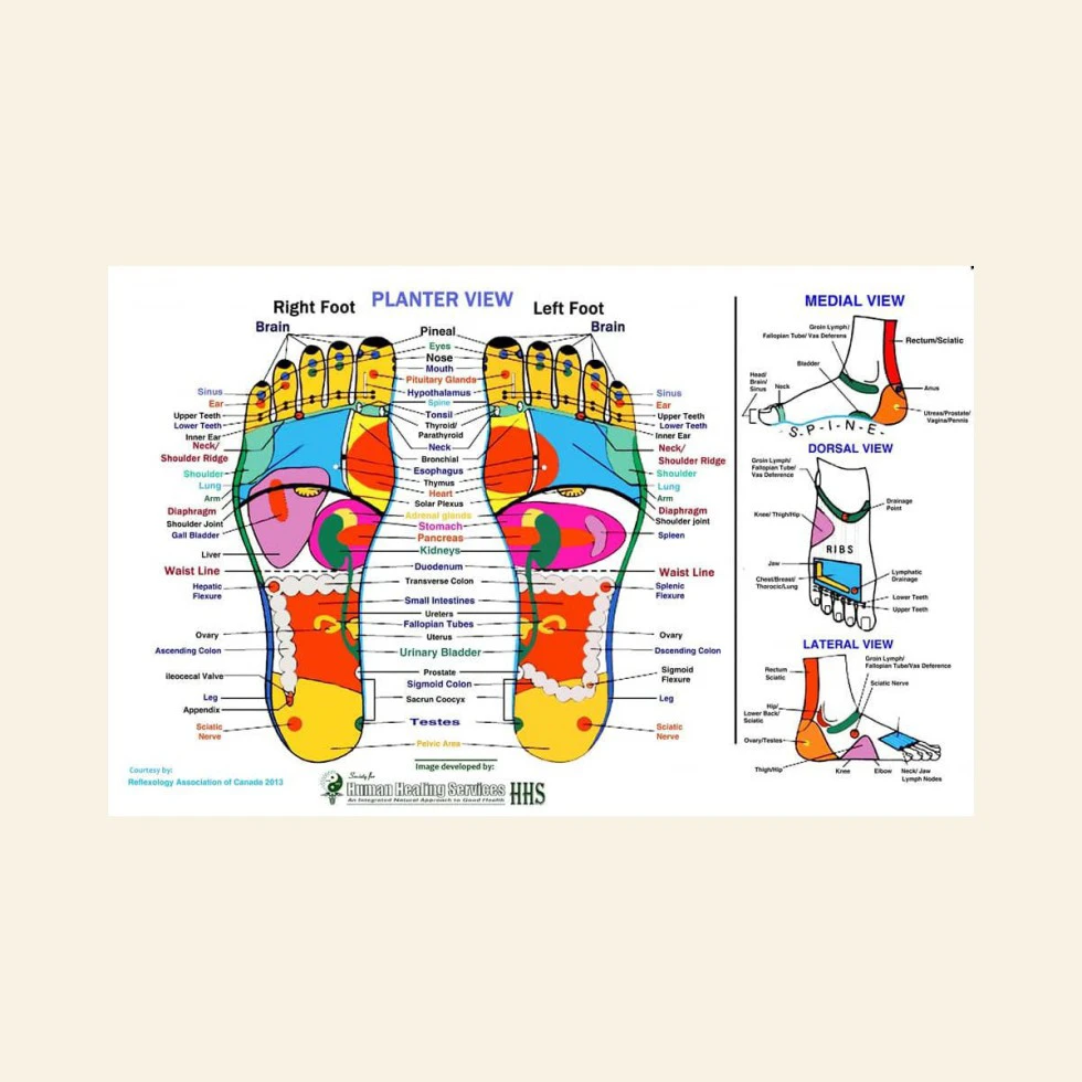 Reflexology Therapy